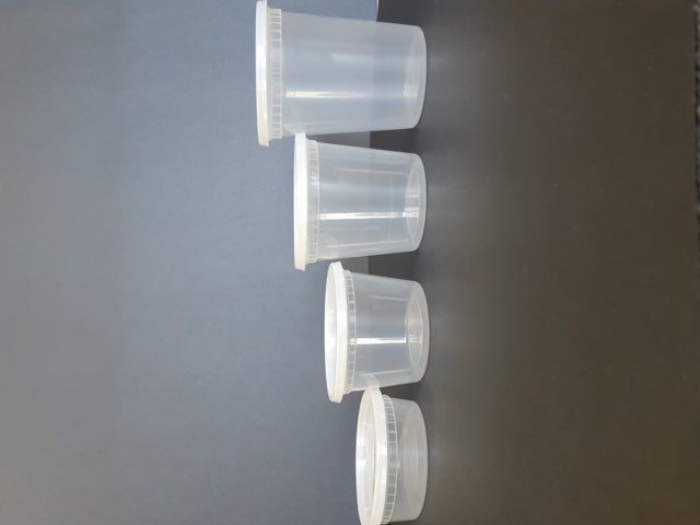 Safelock Clear Containers
