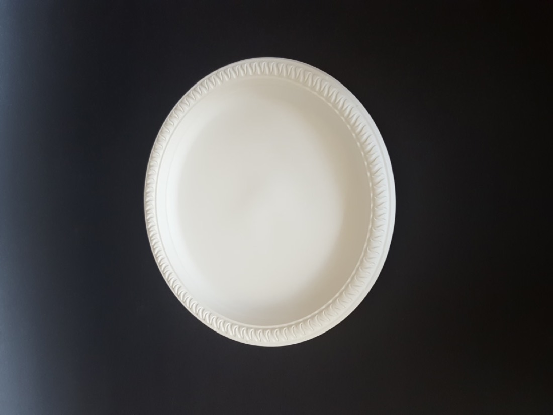 10" Plates