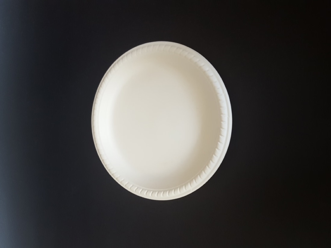 9" Plates