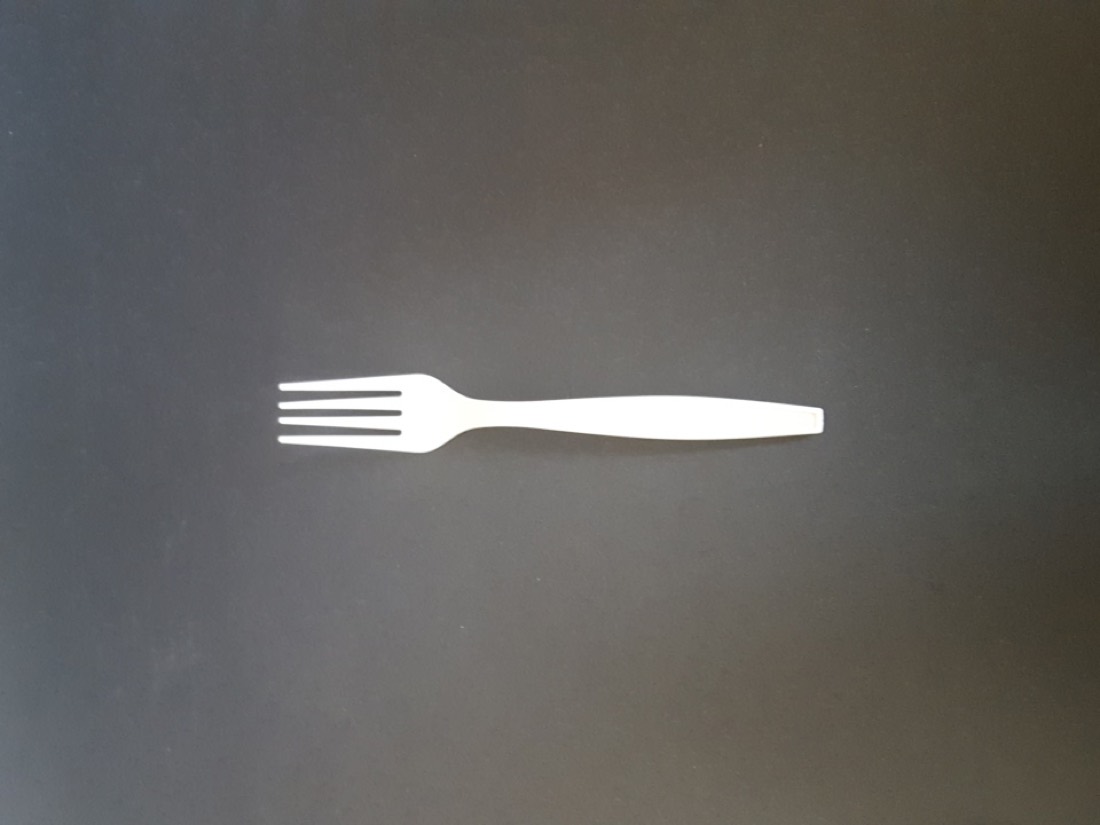 Biodegradable Fork