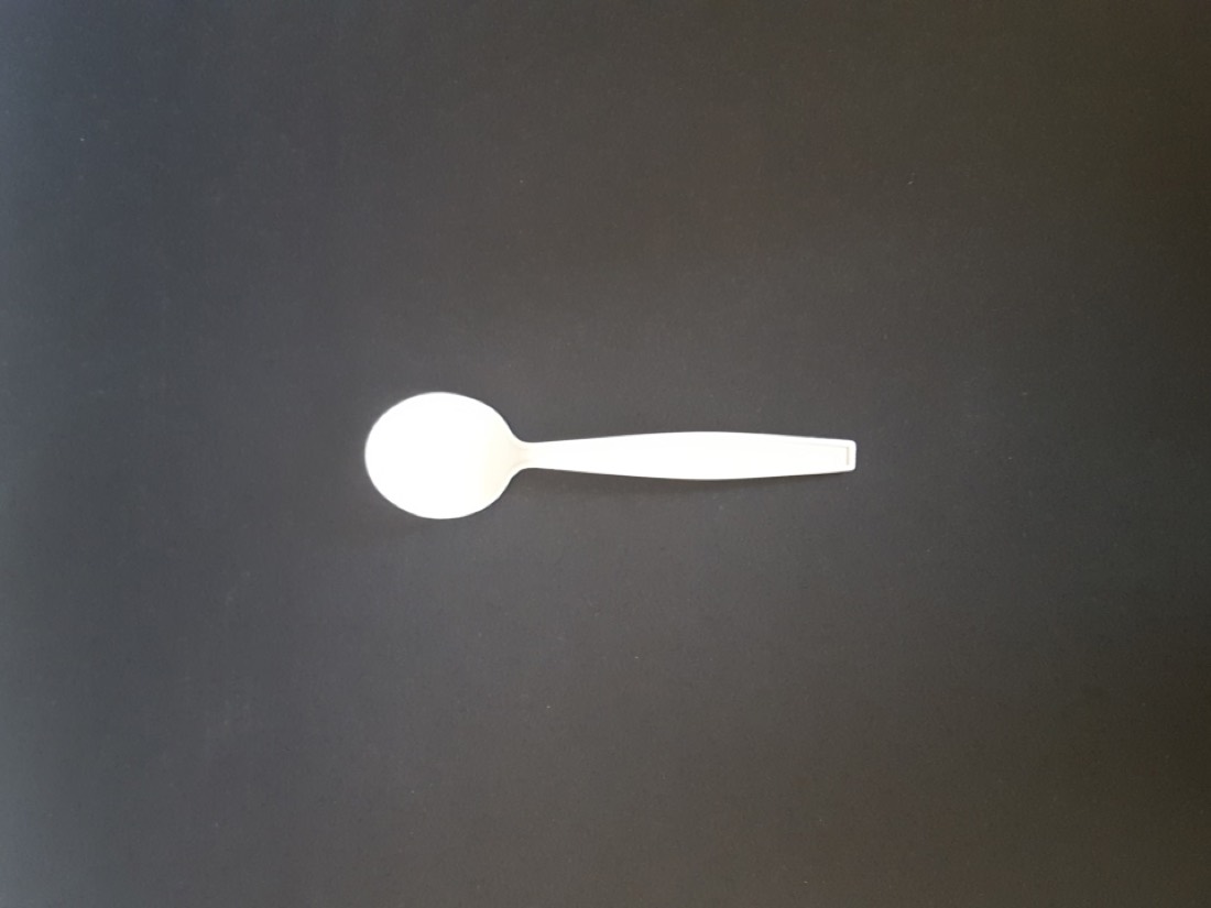 Biodegradable Spoon