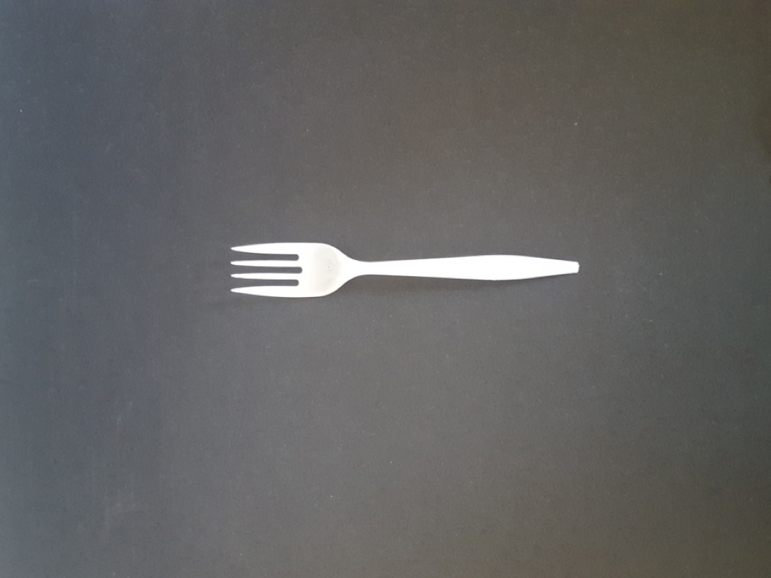 Plastic Fork