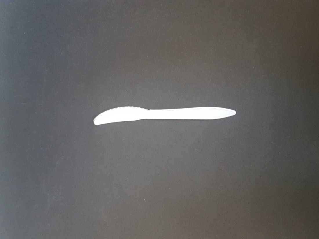 Plastic Knife