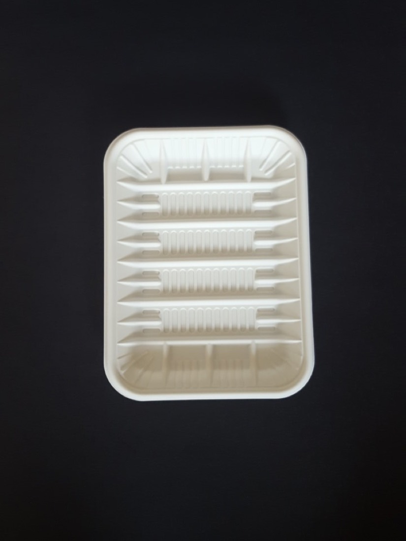 Meat Tray 05