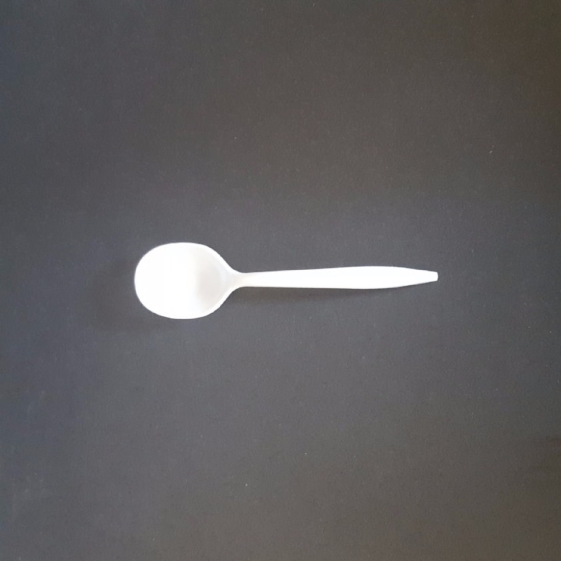 Plastic Round Soup Spoon