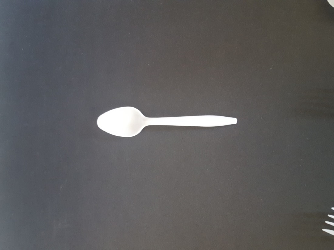Plastic Spoon