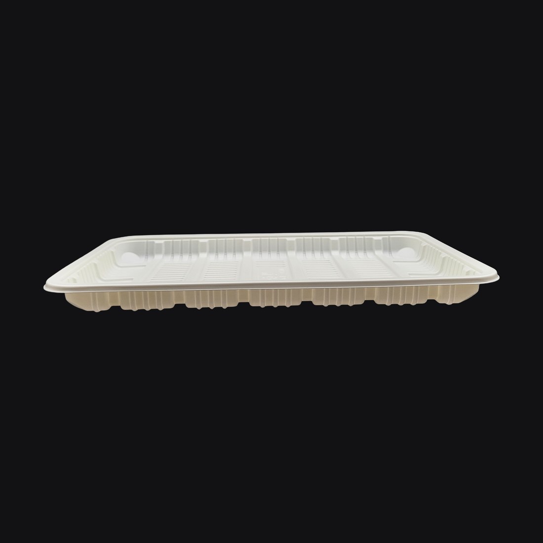 Tray 21 × 32.5 × 2 cm, PP